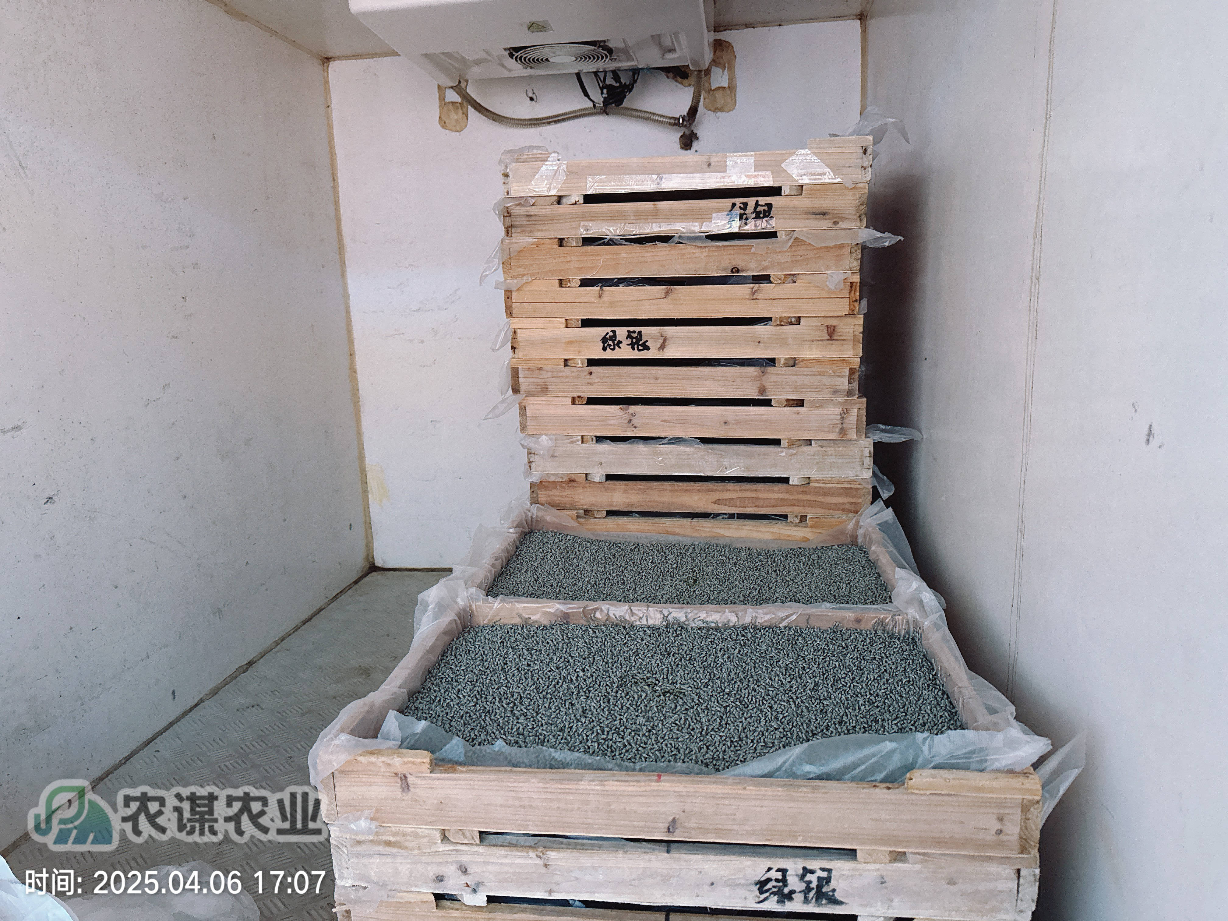 农谋农业开启今年养蚕工作，首批三龄小蚕顺利发出​