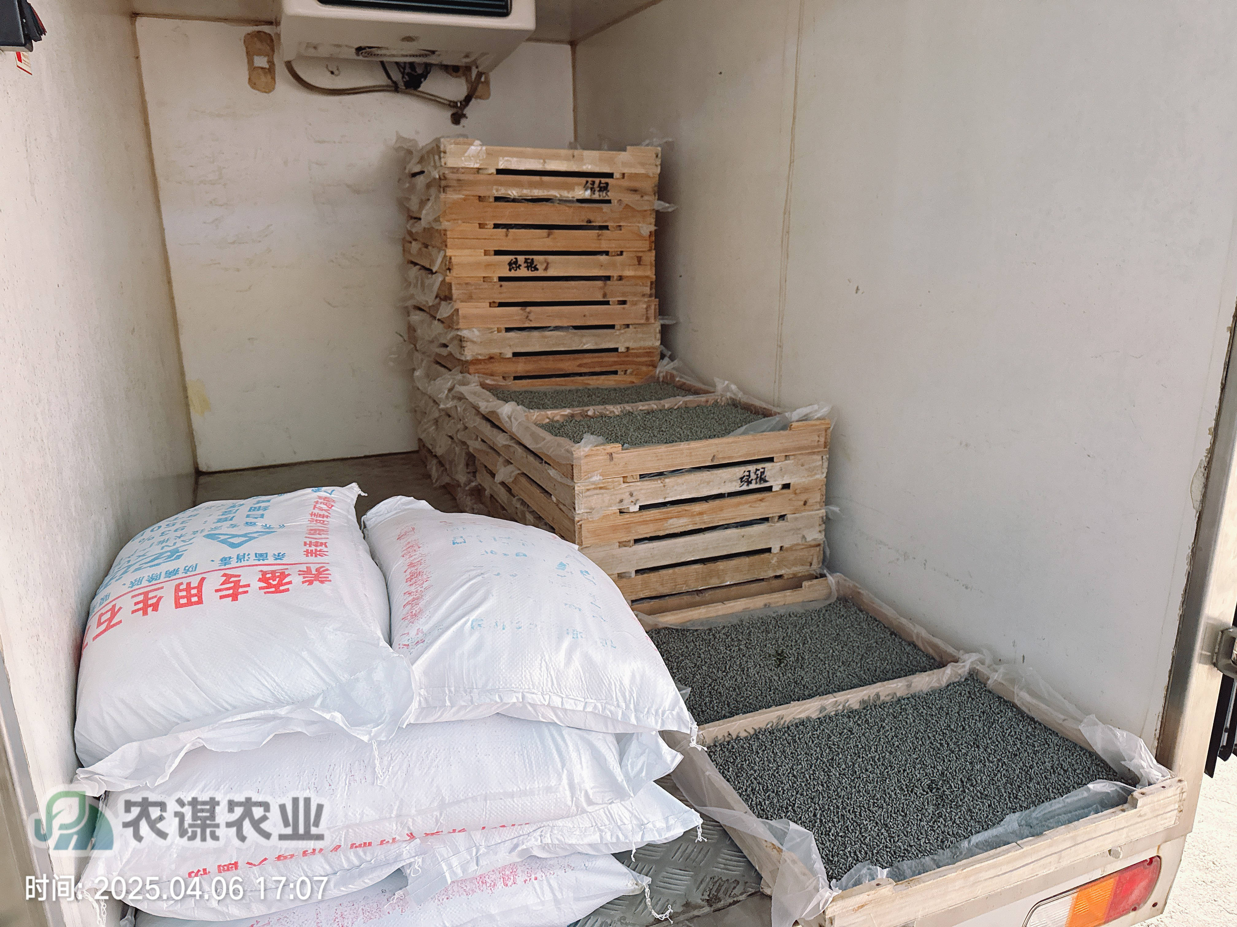 农谋农业开启今年养蚕工作，首批三龄小蚕顺利发出​